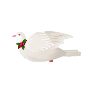 Festive Dove